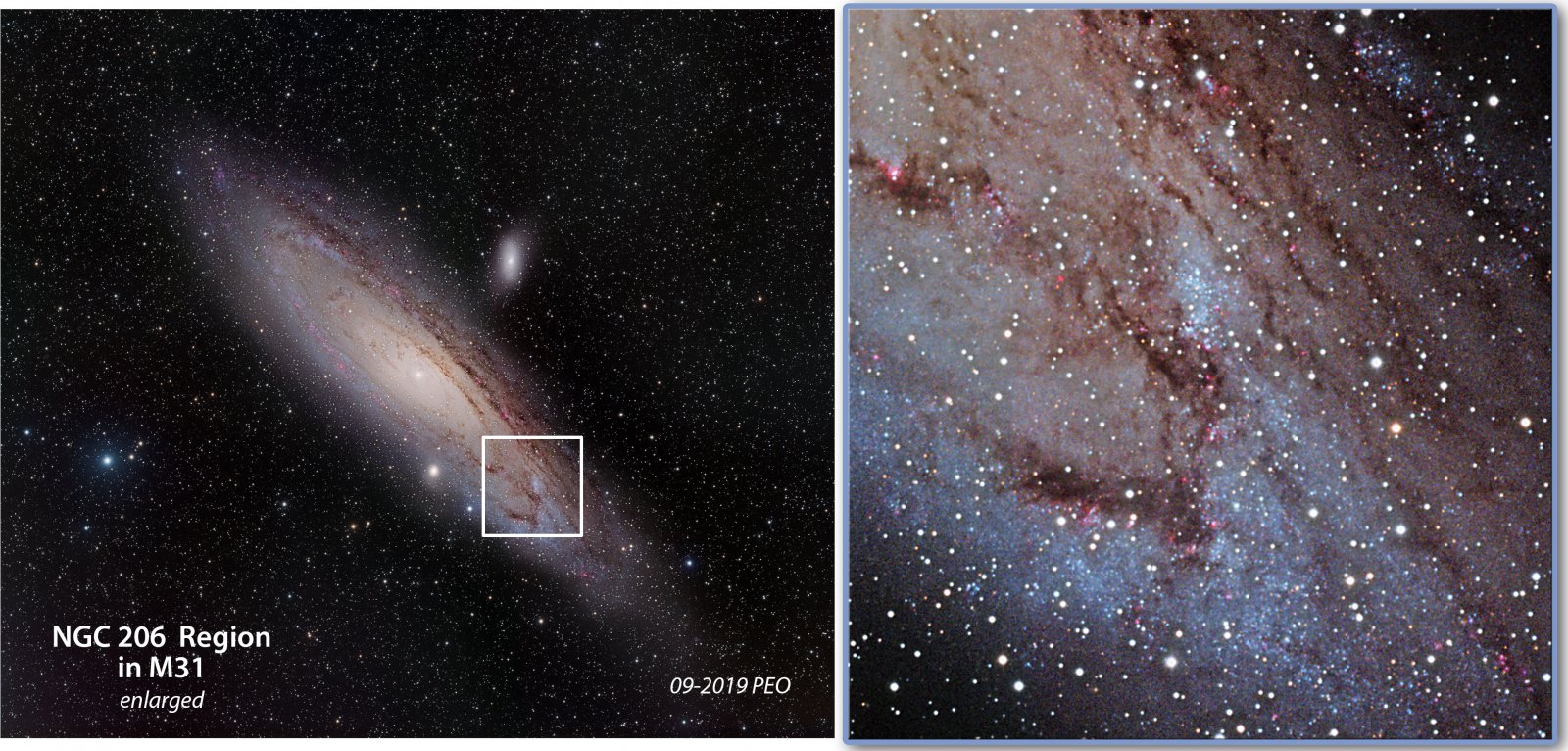 M31 and NGC206